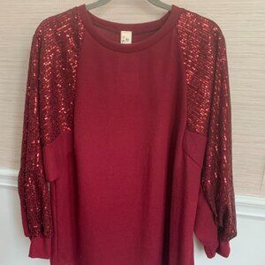 NWT Sequin Balloon Sleeve Top